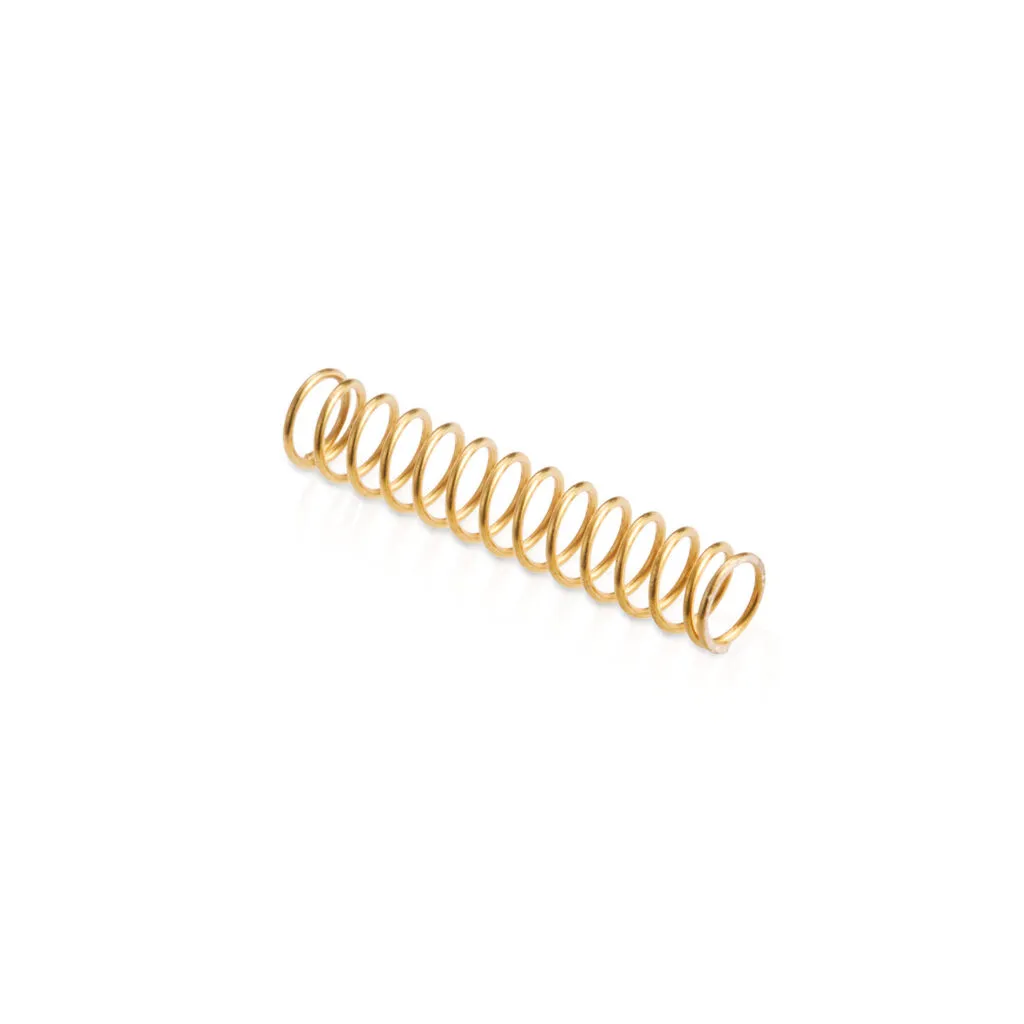 Valve Spring